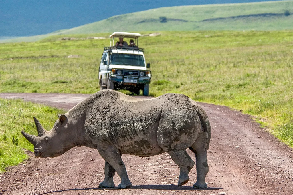 Big Five Safari in Tanzania