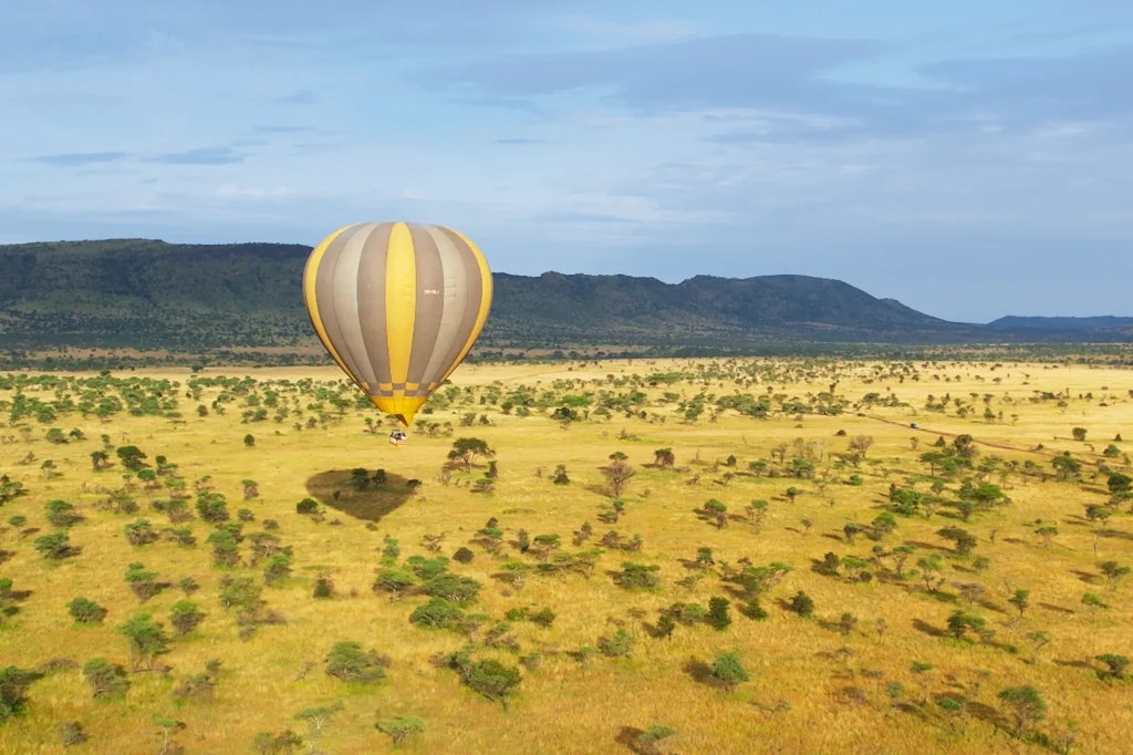 Activities in Tanzania