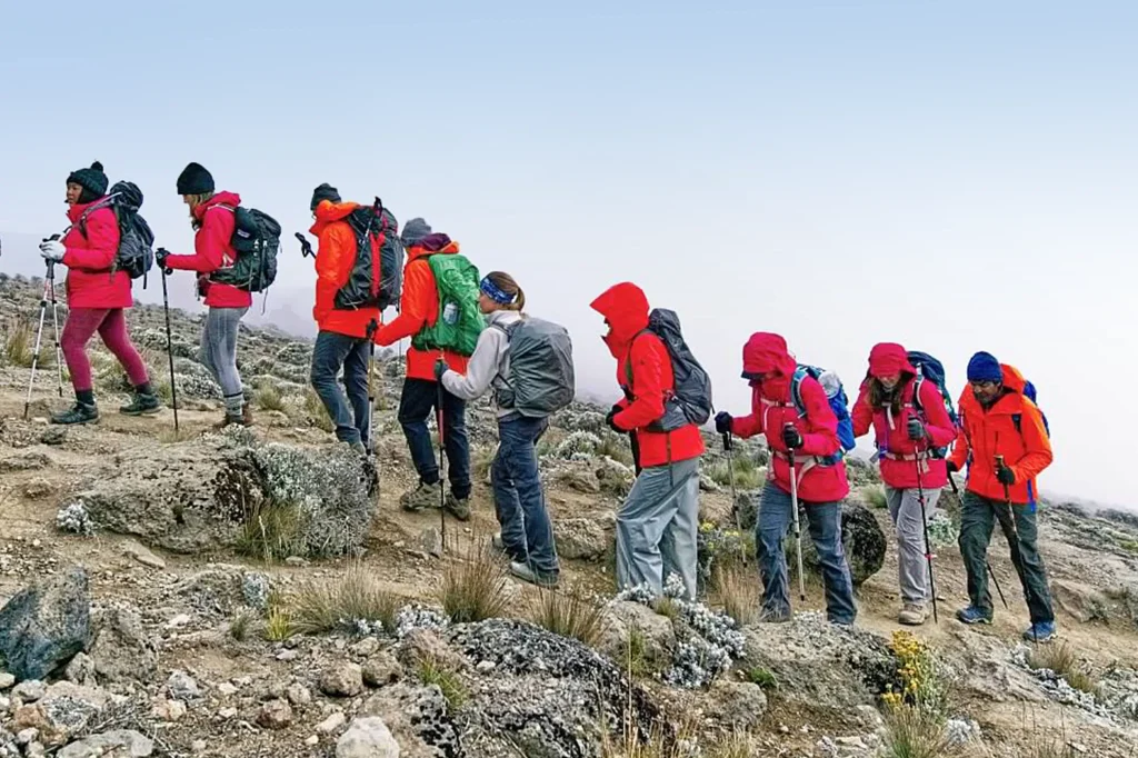 Best Month to Climb Kilimanjaro