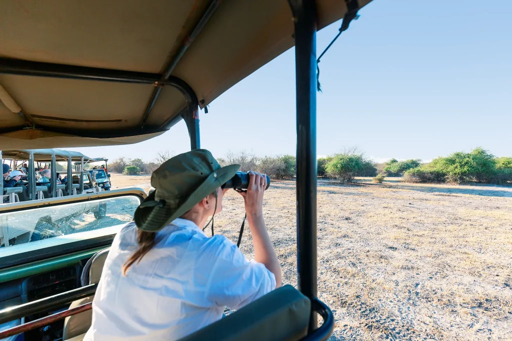 Ethical Safaris