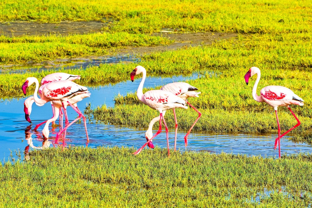 Lake Manyara National Park