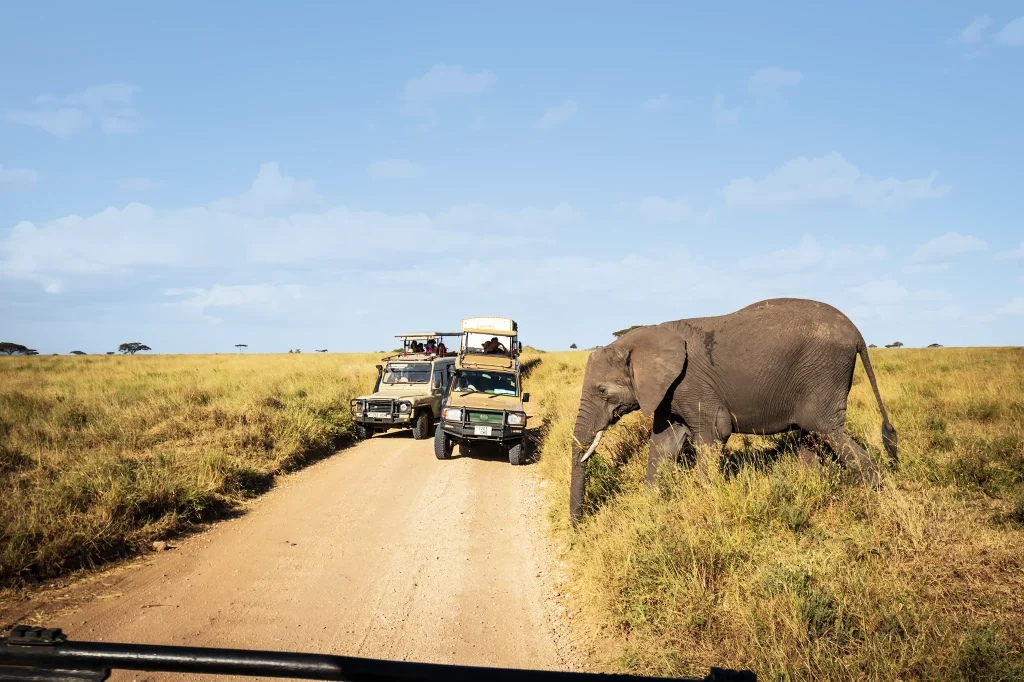 Northern Circuit Safari