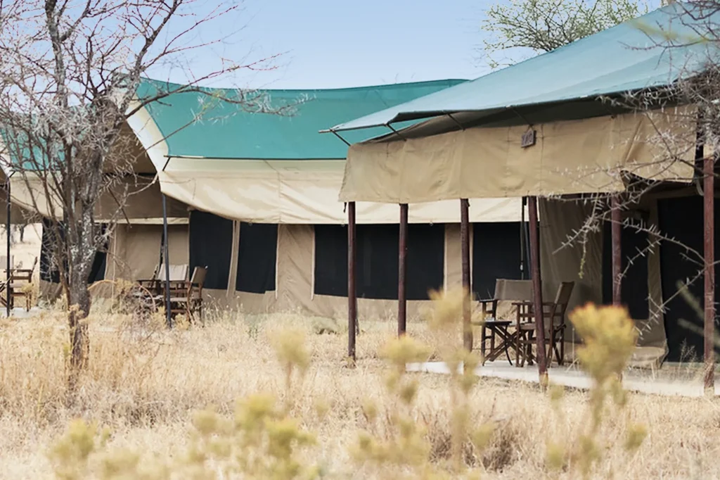 Serengeti Accommodations
