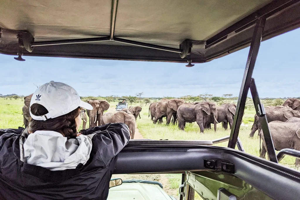 Tanzania Safari