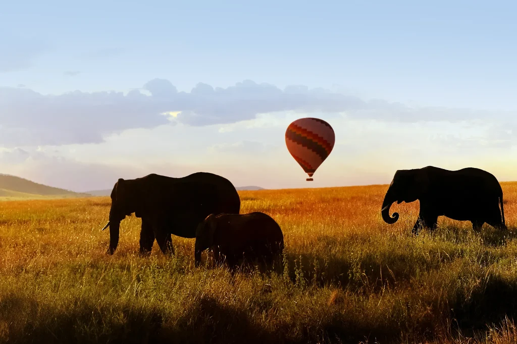 Serengeti Sunset