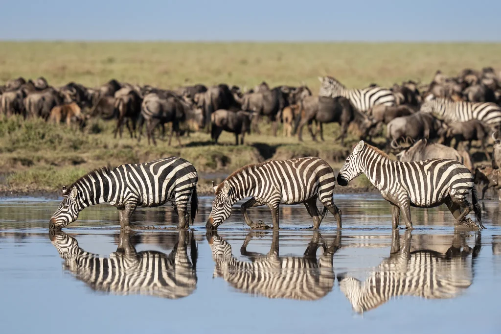 Tanzania Holiday Packages