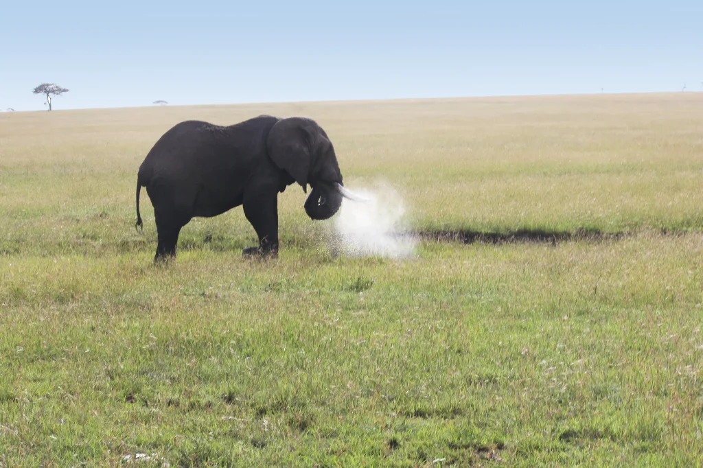 Tanzania Vacation Packages