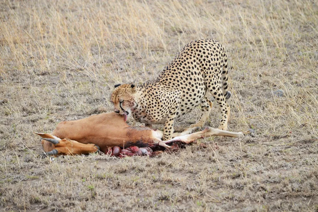Tarangire National Park