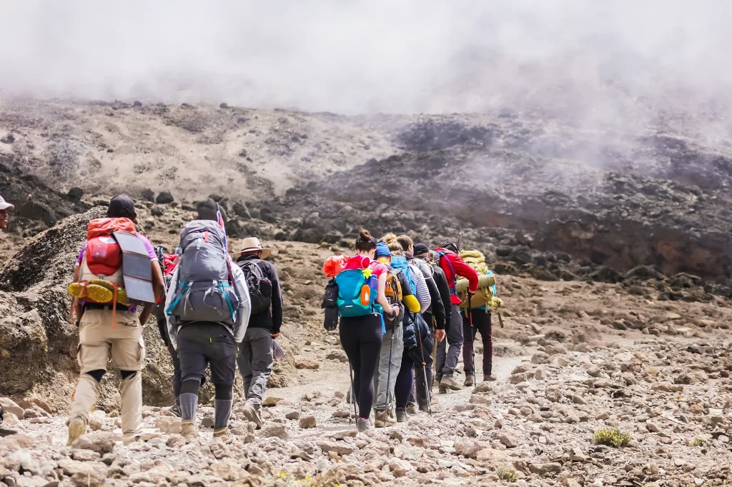 Kilimanjaro Climbing 