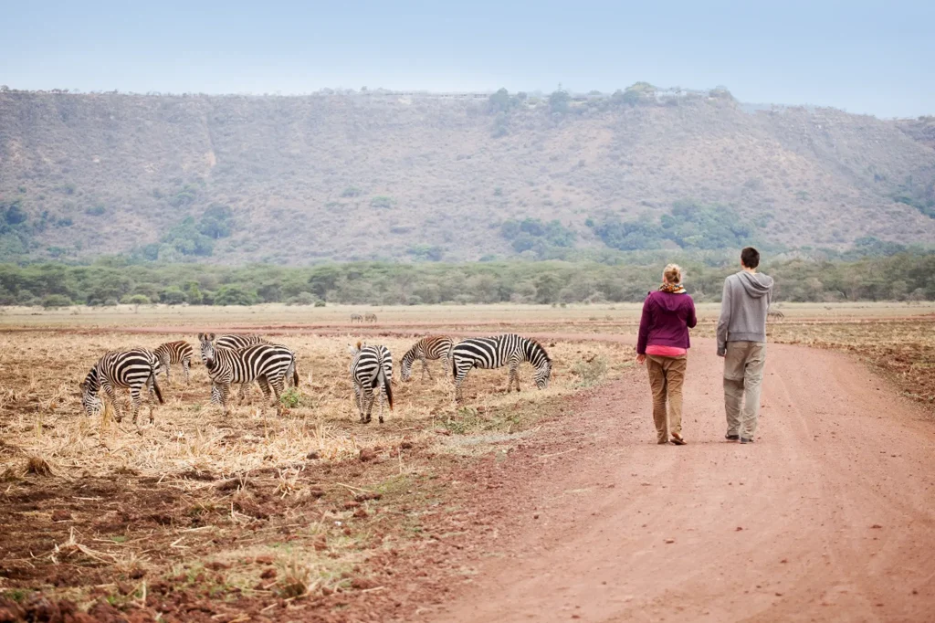 Tanzania Safari Tours