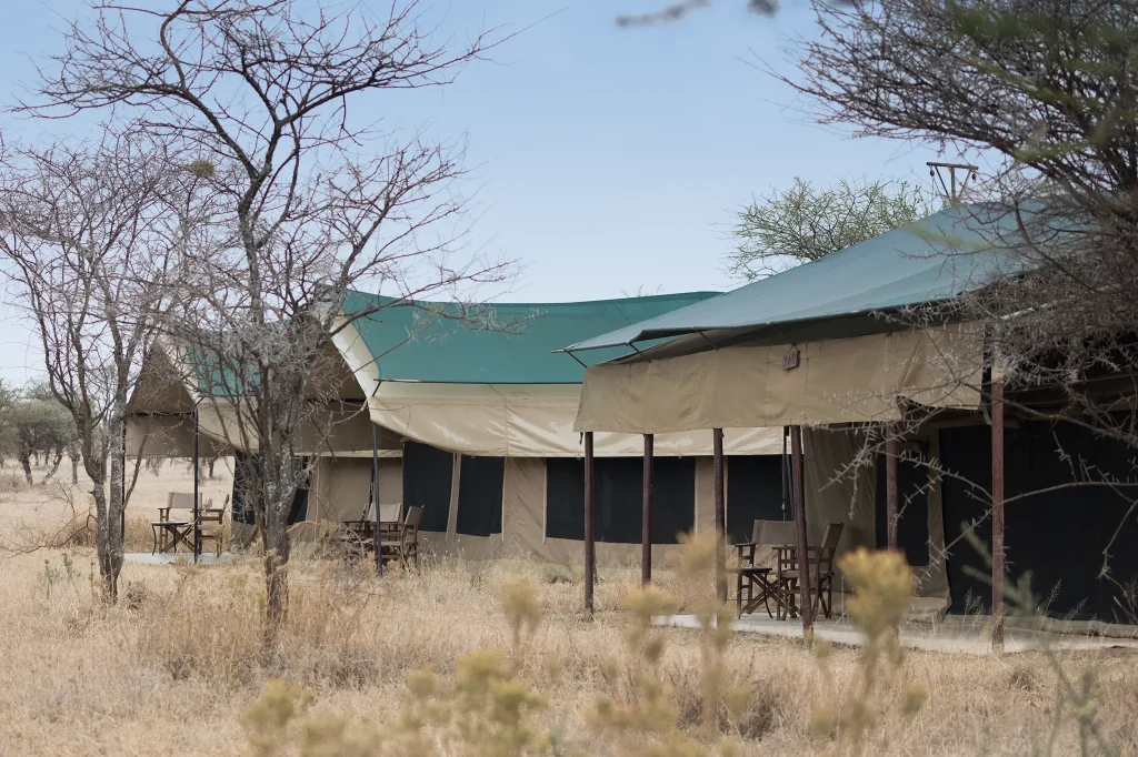 Serengeti National Park Cost