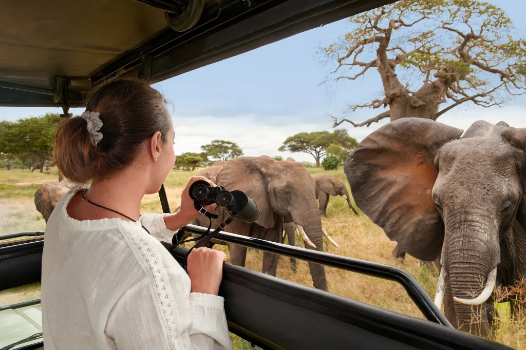 Safaris in Tanzania