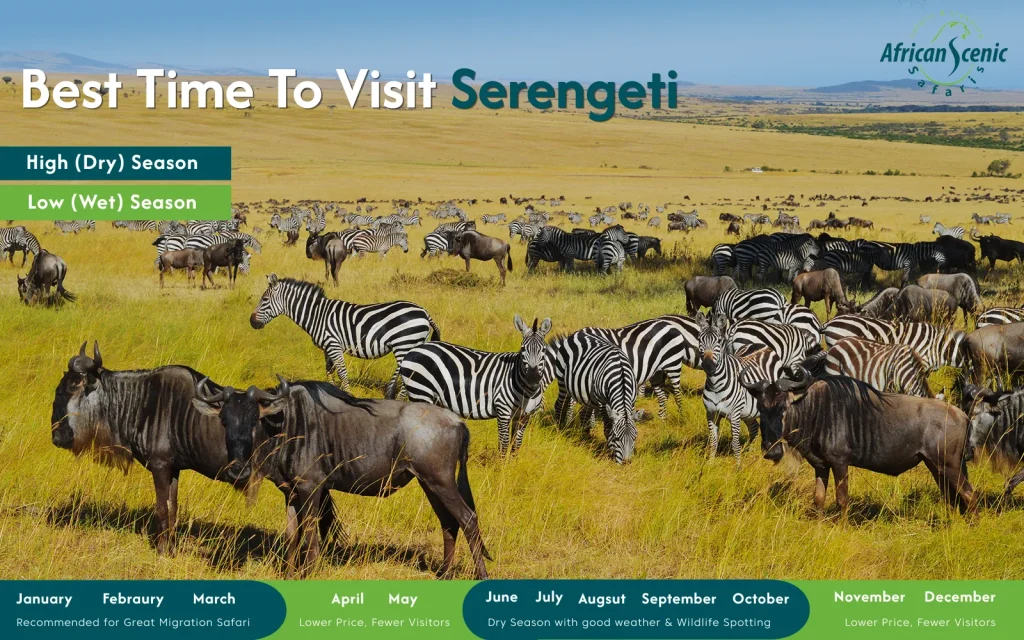 Best Time to Visit