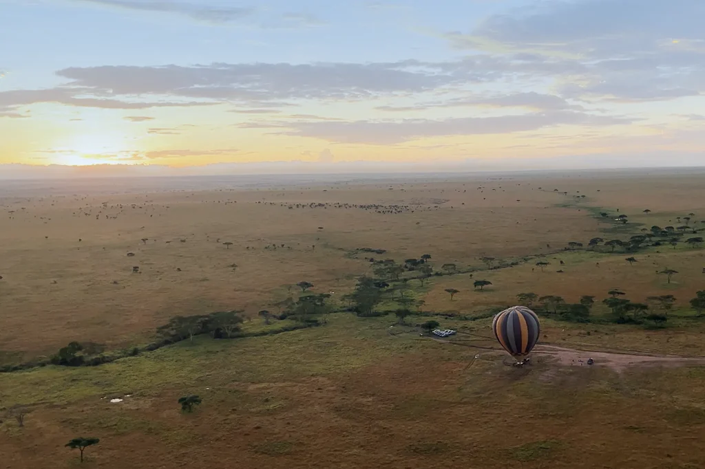 Wonderland Of Serengeti
