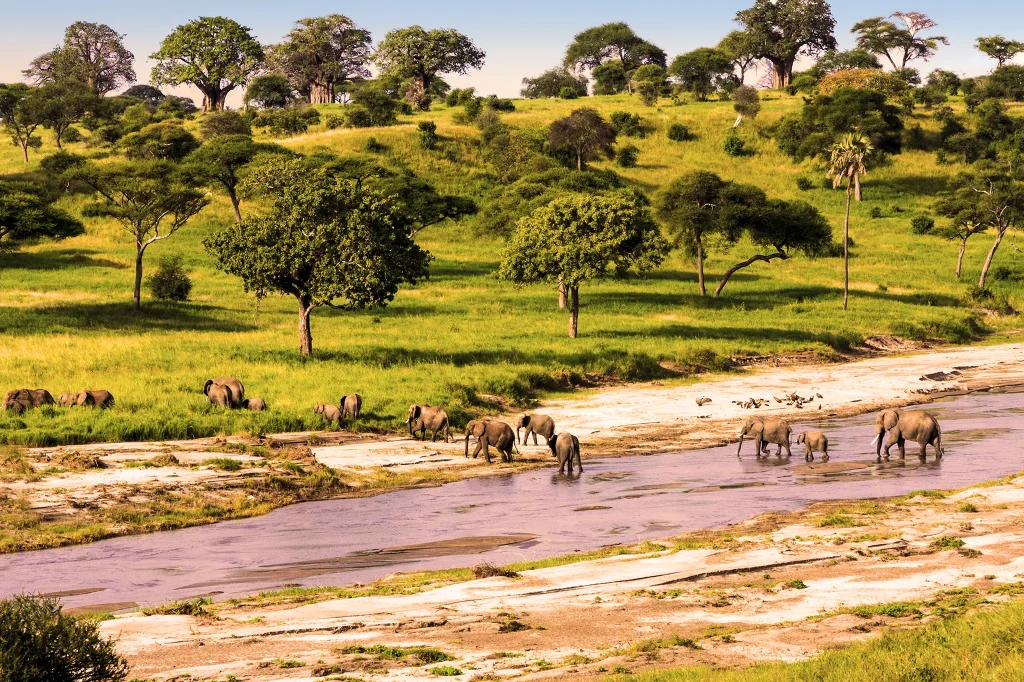 Best Things To Do In Tanzania