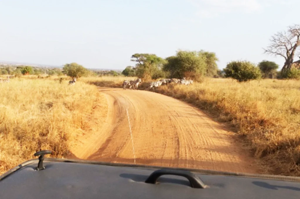 Understanding Tanzania's Climate