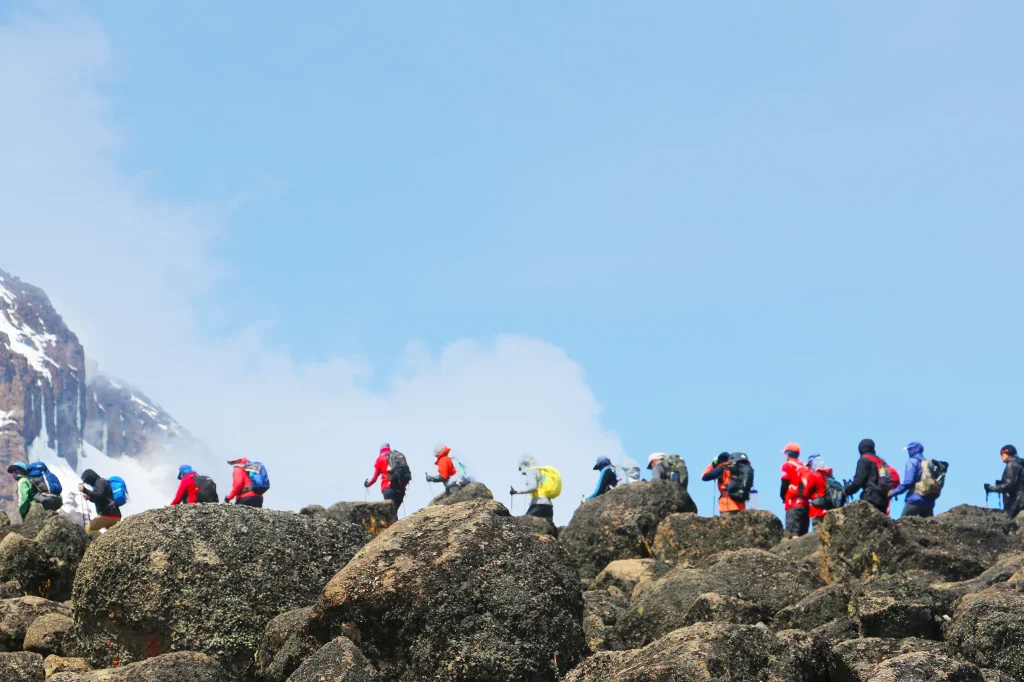 Journey To The Summit