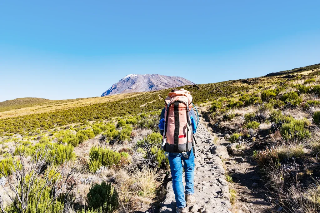 Best Kilimanjaro Routes