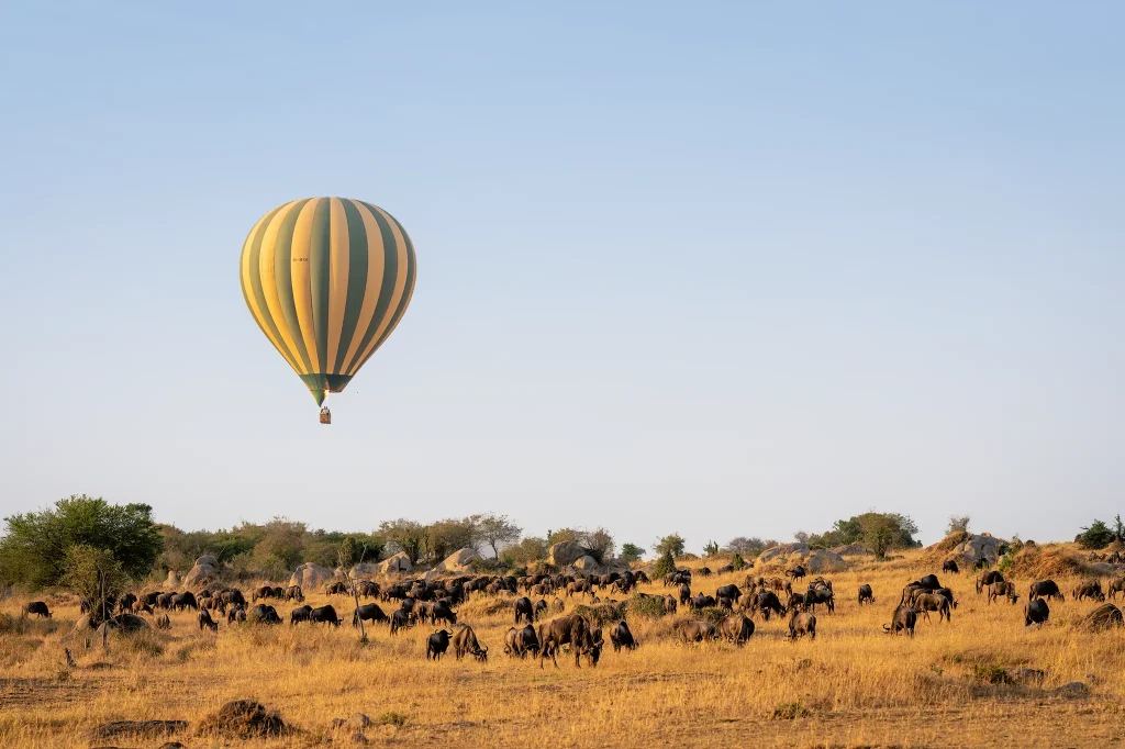 Hot Air Balloon Safari