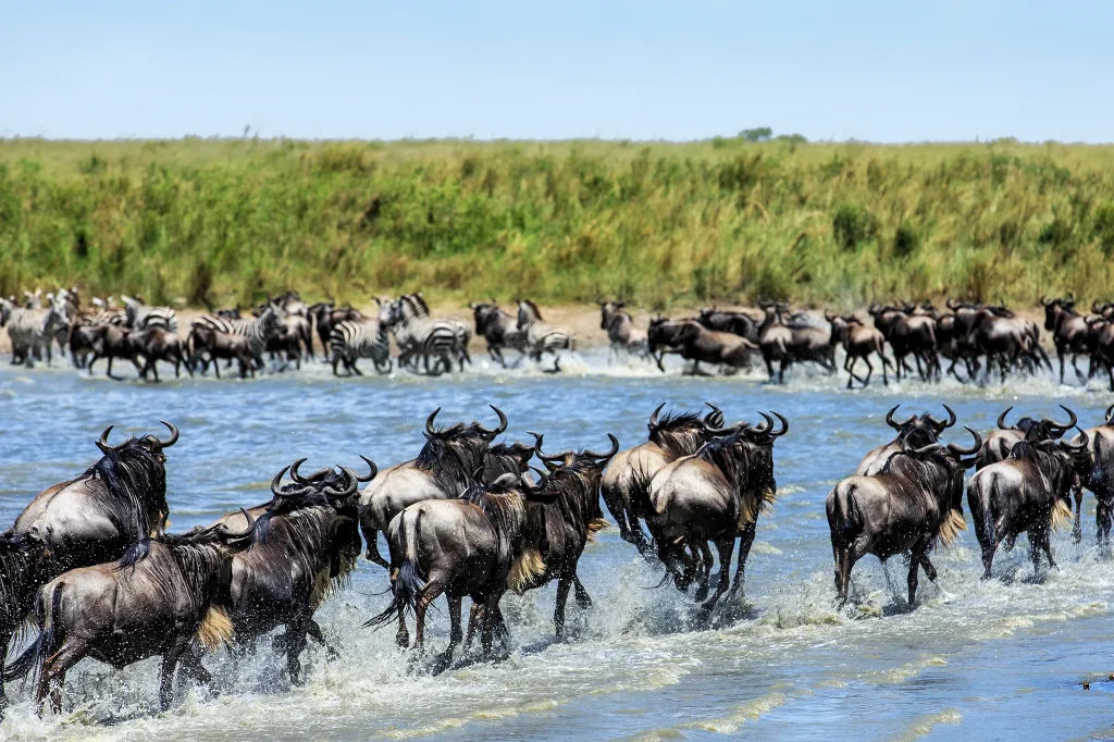 River Crossings