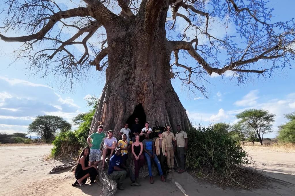 A True Tree of Life
