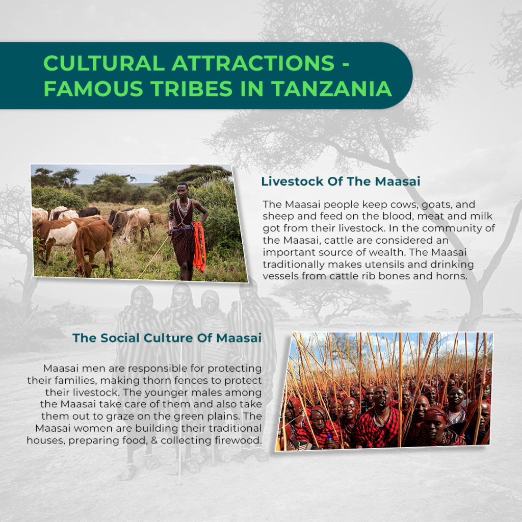 Cultural Tour Tanzania