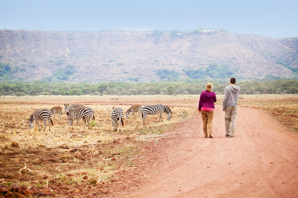 Luxury Safari Activities