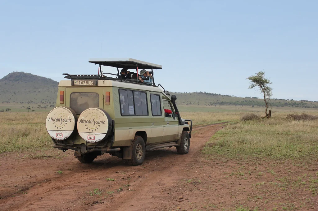 Serengeti Safari