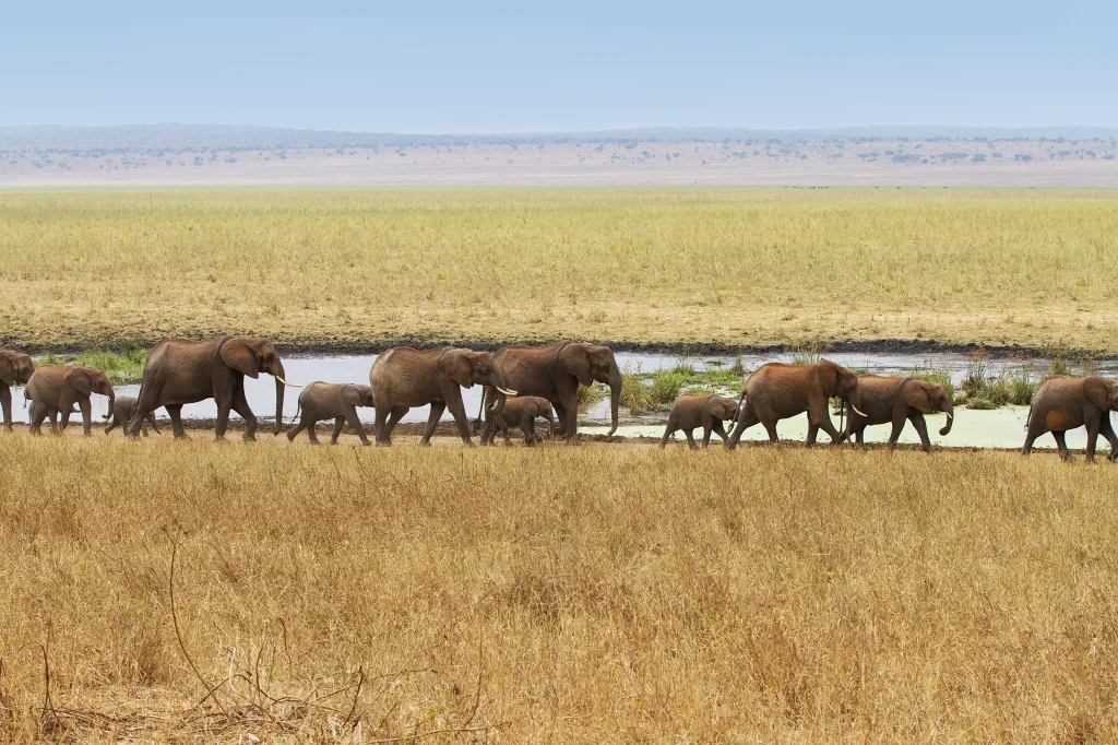 Big Five
