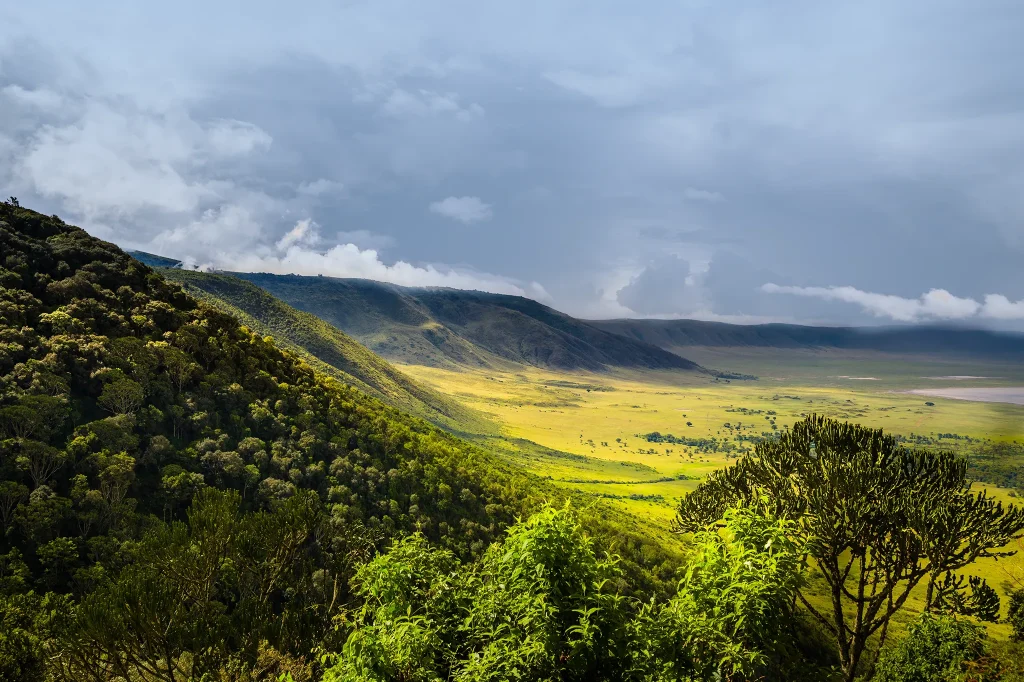 Ngorongoro Conservation Area