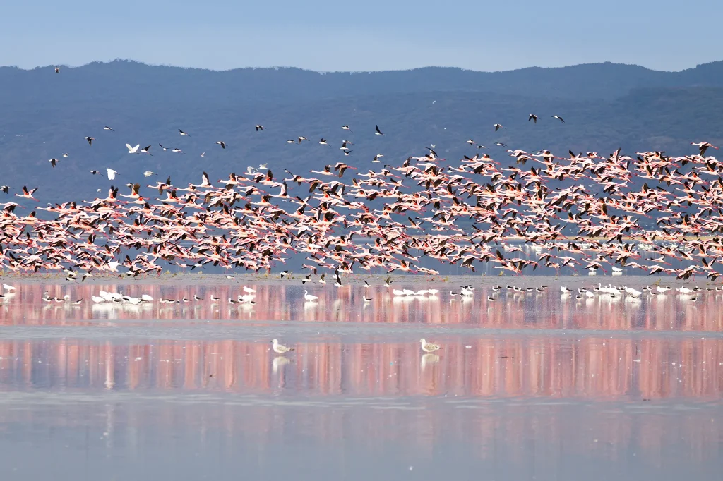 Lake Manyara National Park