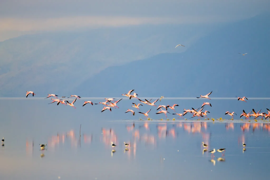 Lake Manyara National Park