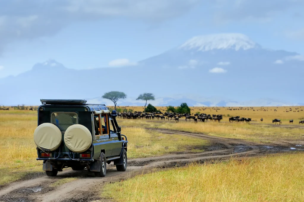 Where Adventure Meets Nature