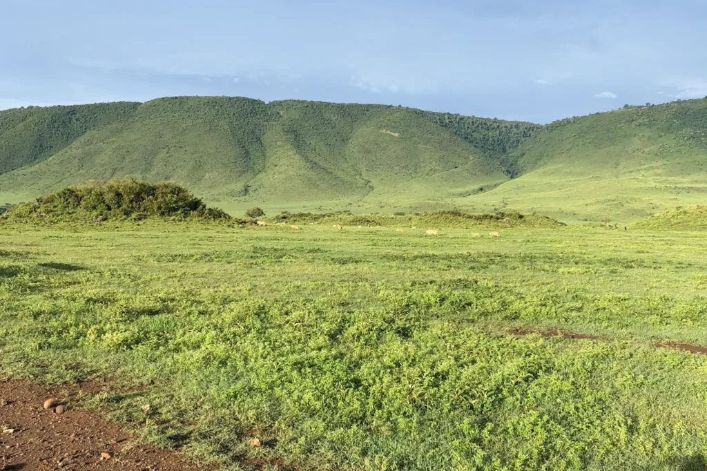 Tanzania’s Wet Season