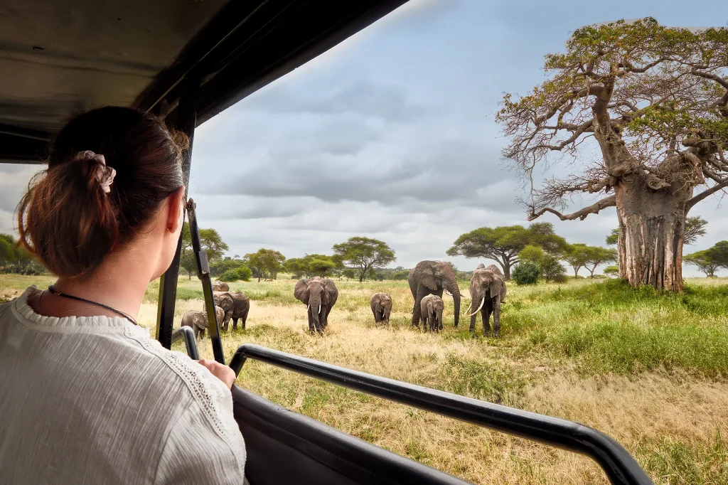 Best Time to Visit Tanzania