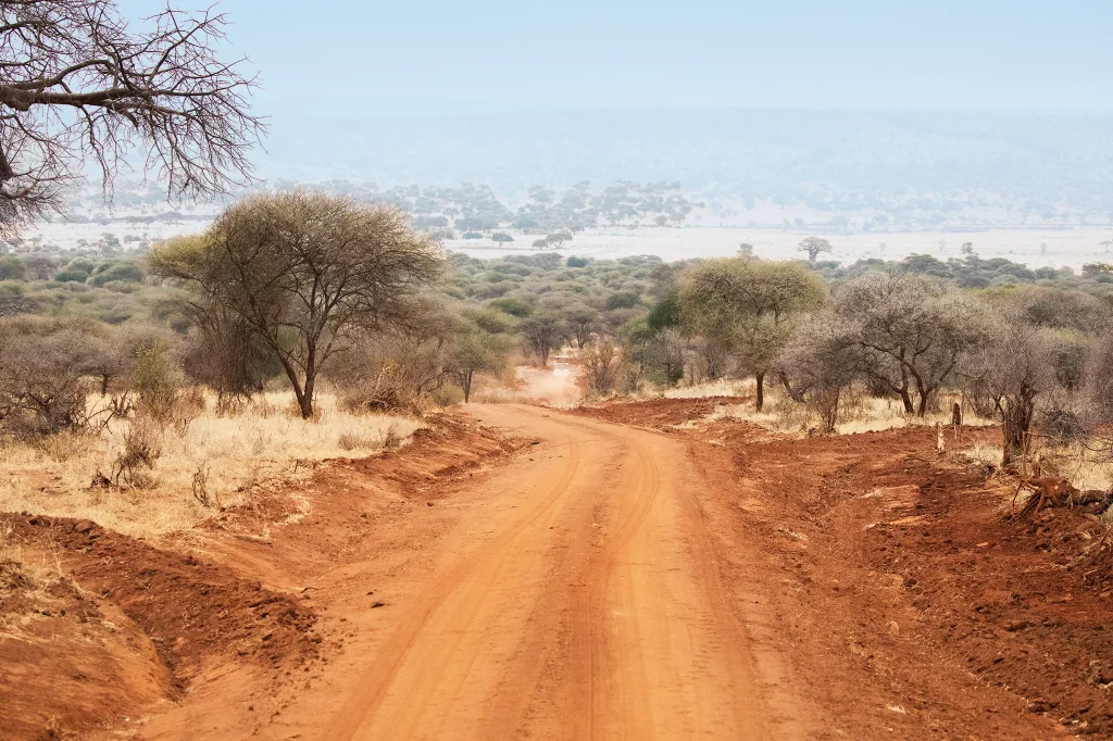 Solitude at Tarangire