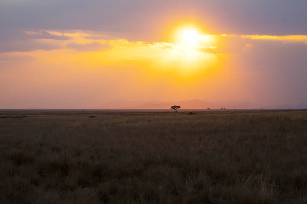 Serengeti Highlights