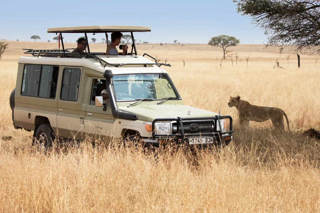 Game Drives
