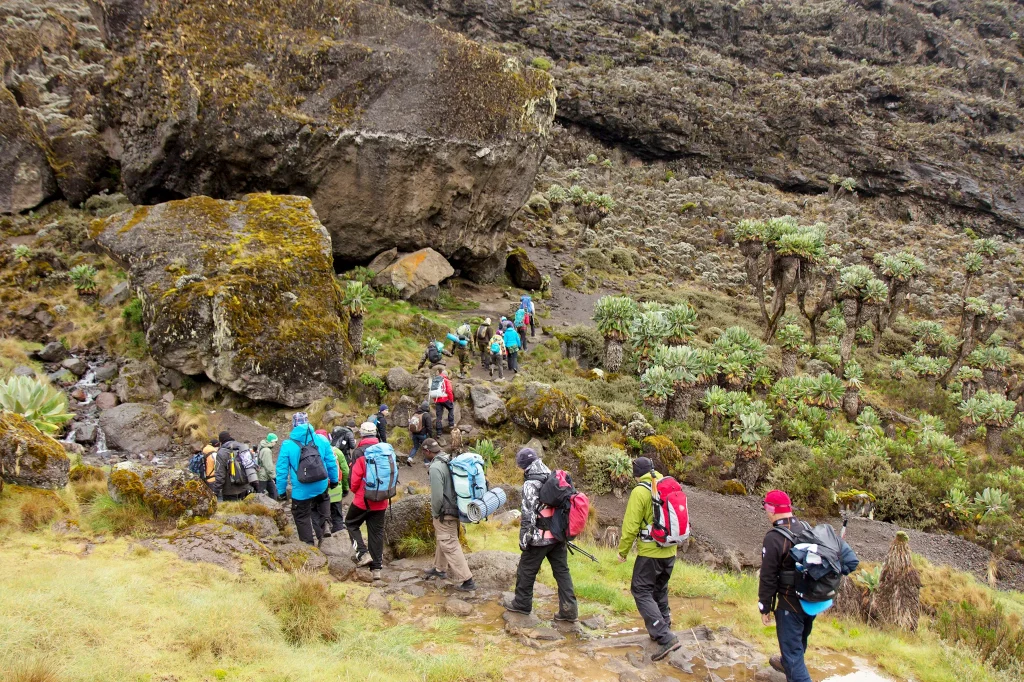 Kilimanjaro Climbing