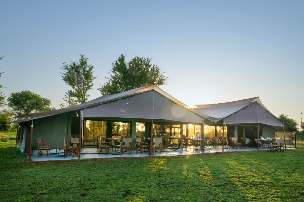 Luxury Safari In Tanzania