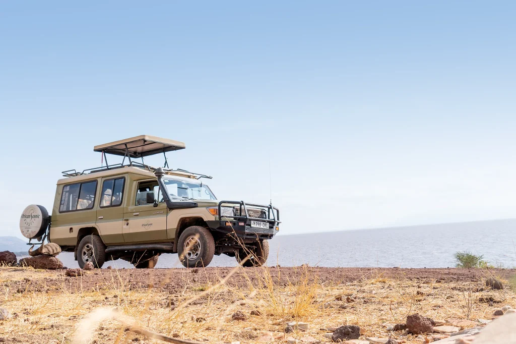 Tanzania Safari Experience