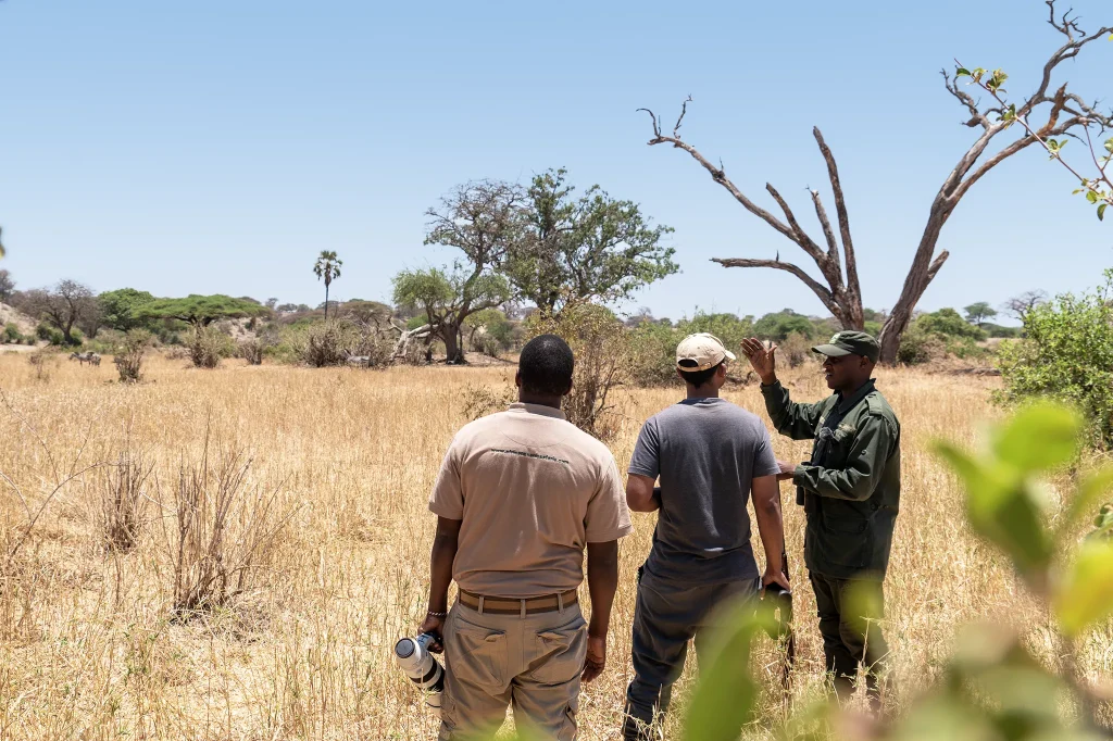 Tanzania Luxury Safari Package