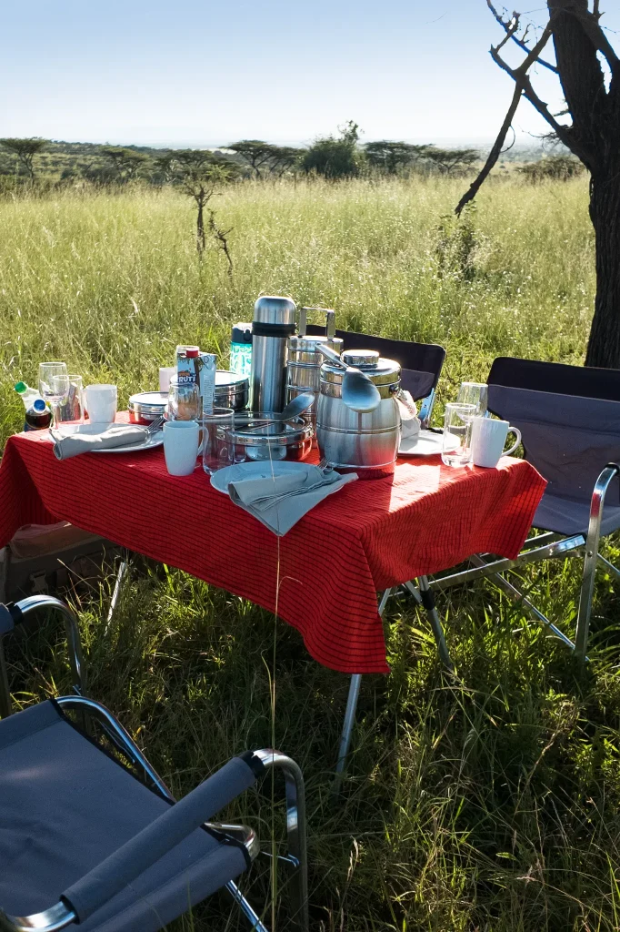 Luxury Safari Tanzania
