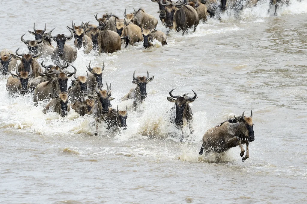Great Migration Timeline