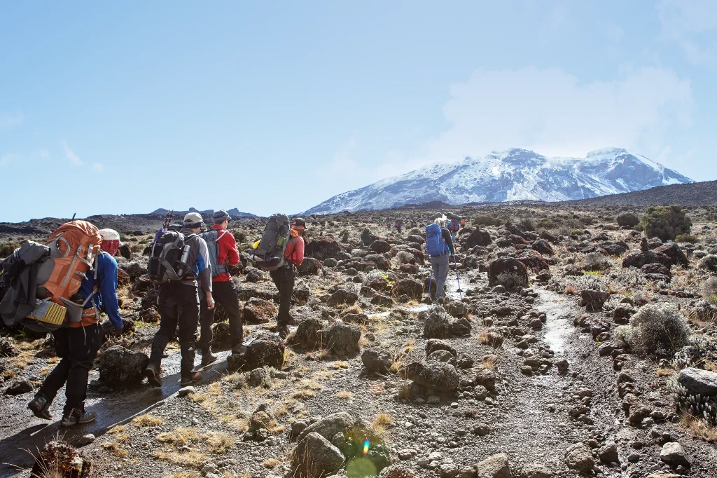 Basic Kilimanjaro Climbing Packages
