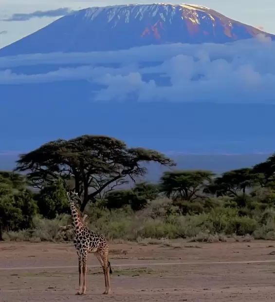 amboseli-national-park3