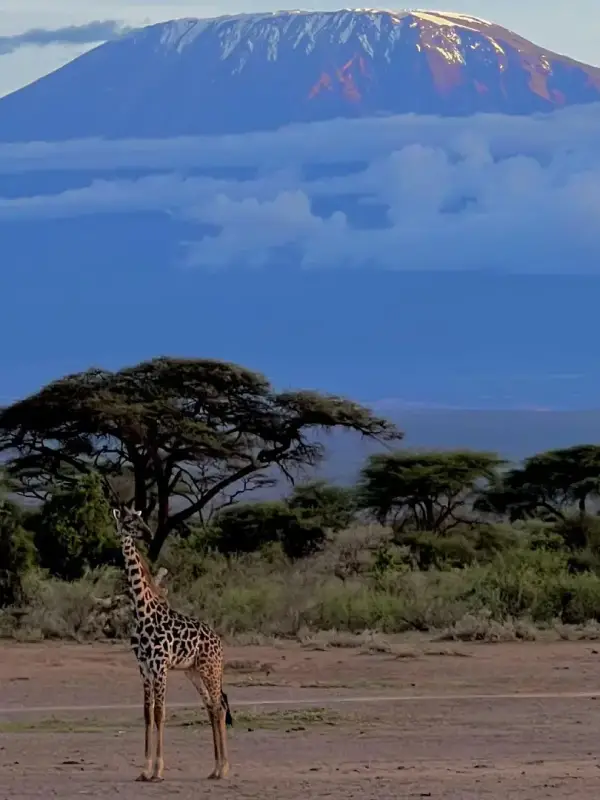 amboseli-national-park3