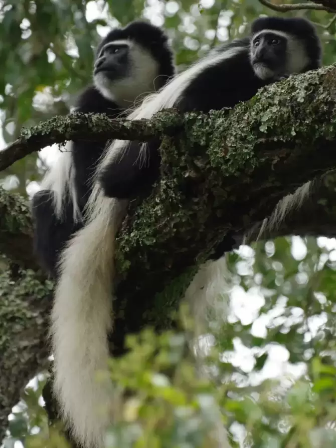 arusha-national-park2