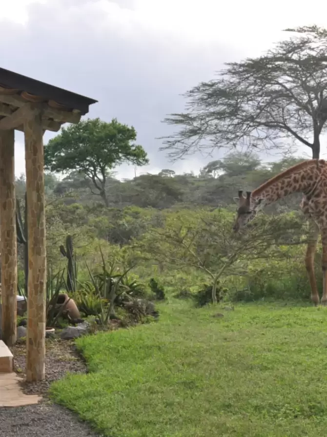 arusha-national-park4