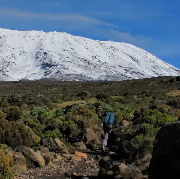 how-much-does-it-cost-to-climb-kilimanjaro-4